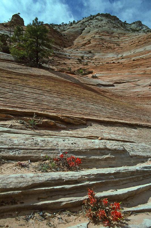 1996-04 Utah Trip 28.jpg